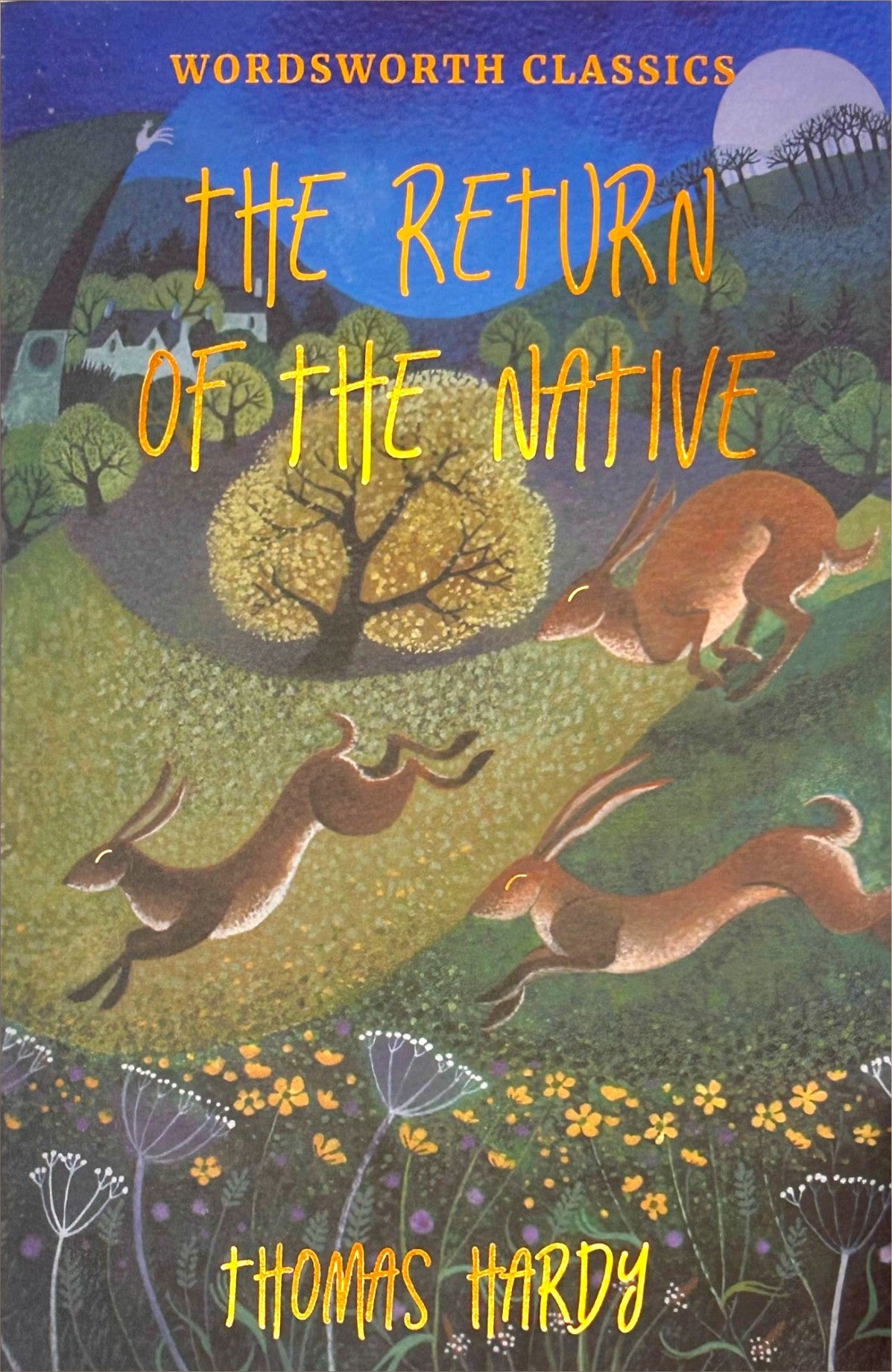 The Return of the Native by Thomas Hardy