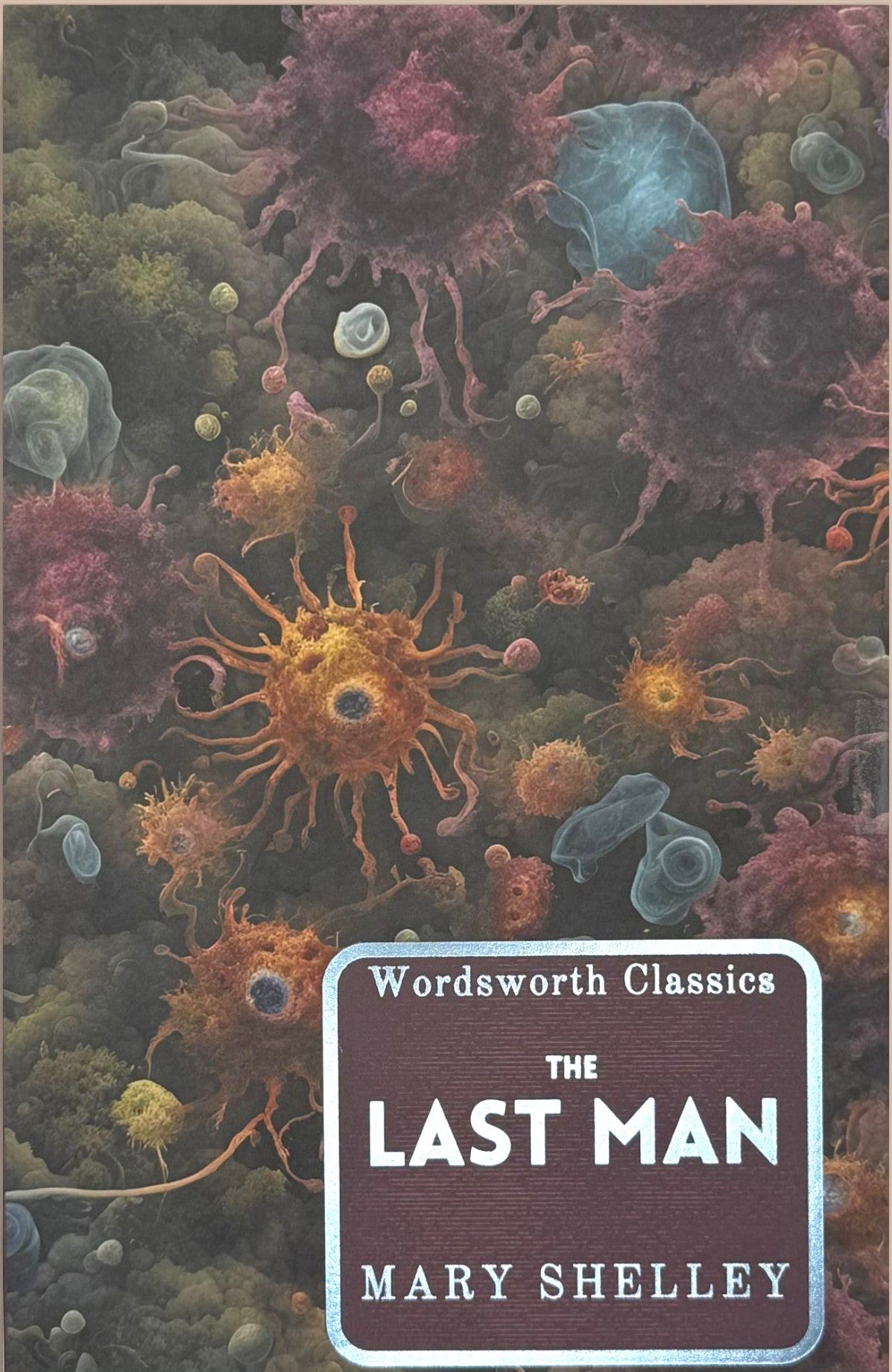 The Last Man by Mary Shelley