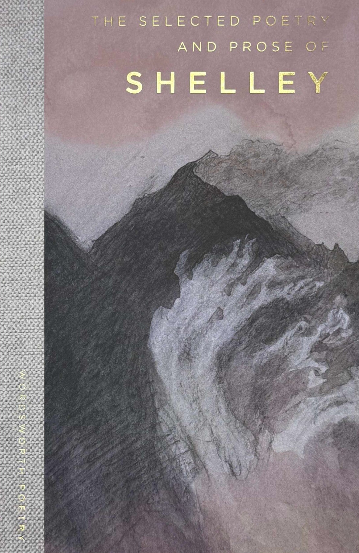 The Selected Poetry and Prose of Shelley